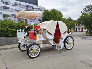 Produits en promotion : Chariot de chevaux électrique d'extérieur HengYiSheng pour 6 personnes avec toit, idéal pour mariages romantiques - Henan - Product Image 3