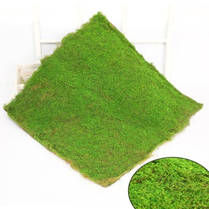 Heno de renos y hierba de panel, hoja decorativa de árbol preservada, bonsái sintético, musgo cuadrado artificial de alta calidad - Product Image 3