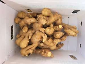 Gừng tươi hạng 1, gừng non, bảo quản lạnh, nhà máy bán buôn, Sơn Đông, Trung Quốc - Product Image 3