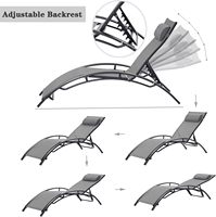 Lot de 2 chaises longues en aluminium avec oreiller et dossier réglable à 5 positions pour le bain de soleil côté patio, pelouse, plage, piscine