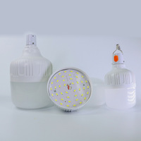 Usine En Gros Rechargeable 5v Dc Led Phare Ampoule 20w 30w 40w 50w Étanche Éclairage De Secours Lampe Ampoule