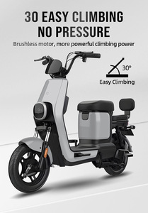 Bicicleta Eléctrica Urbana de Doble Asiento con Asistencia al Pedaleo, 48 <span class=keywords><strong>Voltios</strong></span>, 500w, 50km/h, Scooter Eléctrico con Neumáticos de 14 Pulgadas - Product Image 6