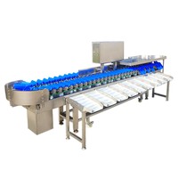 Commerciële fruit- en groentesorteermachine 1,1 kW duurzame kracht voor stabiele productie in diepvriesfabrieken