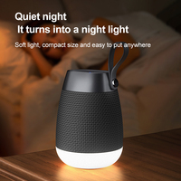 Haut-parleurs Bluetooth étanches IPX4 pour l'extérieur 2026, lumière RVB colorée, stéréo sans fil véritable, haut-parleur cylindrique EBS-702
