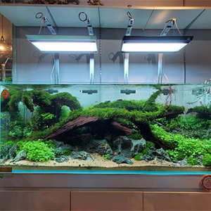 Lámpara LED para Acuario WEEK <span class=keywords><strong>AQUA</strong></span> RGB con <span class=keywords><strong>Control</strong></span> por Aplicación, para Plantas Acuáticas de Agua Dulce - Product Image 6