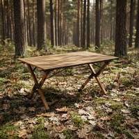 Table de camping pliable robuste avec rangement latéral, vente en gros, faible MOQ, livraison express pour l'extérieur