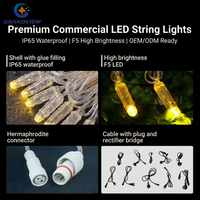 Guirlandes lumineuses LED personnalisées de 10 m, 20 m, 30 m, 50 m, 100 m, lumières décoratives commerciales pour les centres commerciaux, les places, les projets hôteliers, les présentoirs