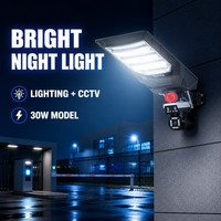 Lampu Jalan Tenaga Surya Terintegrasi Luar Ruangan dengan Kamera Pengawas Ganda Terpasang untuk Villa, Tempat Parkir, dan Gerbang Pabrik