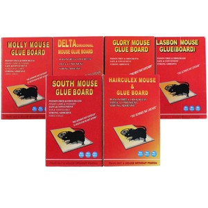 Trampa para Ratones de Papel Engomado Grueso, Plegable, Invisible, Atrapa Ratones en una Sola Red, Trampa Portátil para Plagas, Arañas, Estilo Aleatorio - Product Image 4