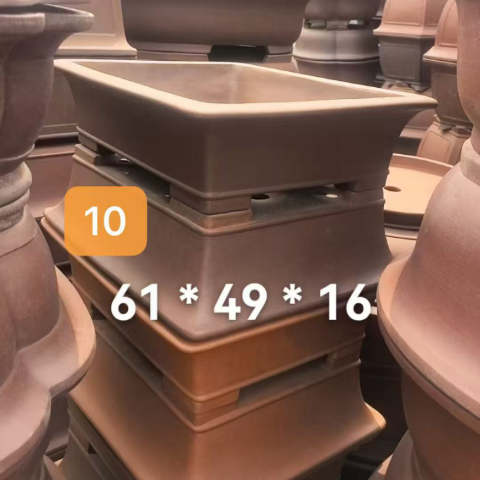 Brown 10