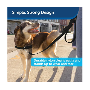 Wholesale Nylon Dog Leash Strong Durable Pet <b>Training</b> <b>Lead</b> with Soft Grip Handle Secure Metal Clasp for Daily Walking & Outdoor - Product Image 3