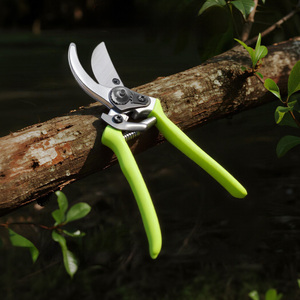 Tijeras de podar <span class=keywords><strong>para</strong></span> jardín One99, tijeras profesionales de acero inoxidable SK5 <span class=keywords><strong>para</strong></span> plantas, <span class=keywords><strong>herramientas</strong></span> manuales de <span class=keywords><strong>jardinería</strong></span> portátiles personalizables <span class=keywords><strong>para</strong></span> árboles - Product Image 1