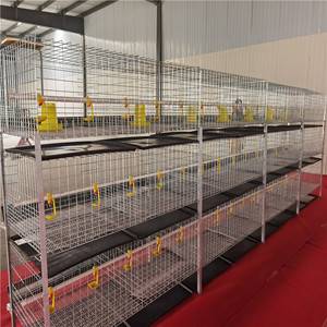 Nouveau design Cage à poulets 3 niveaux Races de poulets de <span class=keywords><strong>chair</strong></span> Cage à poulets de <span class=keywords><strong>chair</strong></span> - Product Image 4