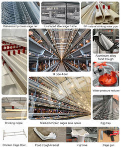 กรงไก่แบบ H กรงไก่อัตโนมัติ กรงไก่ไข่ 3 ชั้น ระบบให้น้ำอัตโนมัติ โรงเรือนเลี้ยงไก่ เหล็กชุบสังกะสี สำหรับ 10,000 ตัว - Product Image 6