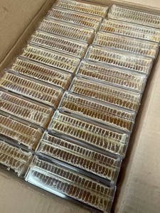 Hot Sale Factory Direct <strong>Fresh</strong> Organic Raw <strong>Honeycomb</strong> 100% Pure Natural Food Grade Comb Honey Bulk Wholesale Supply - Product Image 6