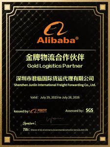 Logistiek Transportagent Luchtvracht Expediteur China Dmany France Ddu Deur-Tot-Deur Directe Verzending Express Levering 21 Jaar - Product Image 4