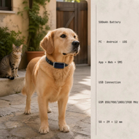 Traceur GPS pour animaux de compagnie G12, compact et précis, suivi de localisation en temps réel, recherche d'historique, géolocalisation