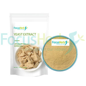 FocusHerb Manufacturers Supply Food Grade 5:1 <strong>Yeast</strong> Extract <strong>Powder</strong>