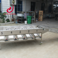 Groentefruit Classificator 1000 Kg/u Aardappelui Sorteermachine Sorteermachine Prijs