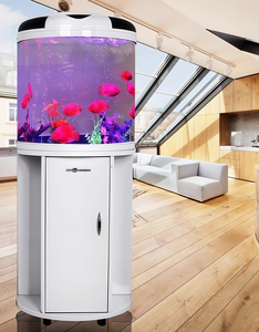 Bestseller Glas Minjiang Acht Sterren Hot Gebogen <span class=keywords><strong>Aquarium</strong></span> <span class=keywords><strong>Aquarium</strong></span> Ultra Halfronde <span class=keywords><strong>Aquarium</strong></span> Voor Thuis Woonkamer - Product Image 2