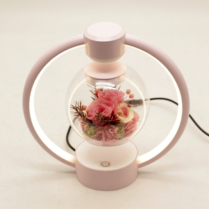 Từ bay lên vĩnh cửu Hoa Đêm ánh sáng sáng tạo trang trí nội thất trang trí ngày Valentine quà tặng hoa nổi - Product Image 5