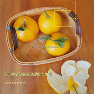 Panier à nourriture rectangulaire en rotin fait à la main en gros - Style Japandi Conservation de la fraîcheur Multifonction 1-3L - Product Image 3