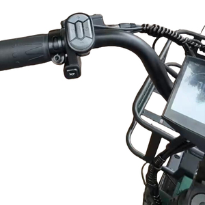Vélo électrique pour adultes avec batterie au lithium amovible 48v 250W longue queue et chargement frontal espace de chargement - Product Image 4