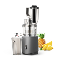 Bpa-Vrije Langzame Kauwende Citrus Juicer Gemakkelijk Schoon Omgekeerde Functie Met Stille Motor Voor Fruitgroenten Huishoudelijke Toepassing