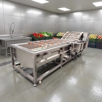 Nieuwe Type Auto Bubble Wasapparaat voor Fruit, Avocado's en Appels