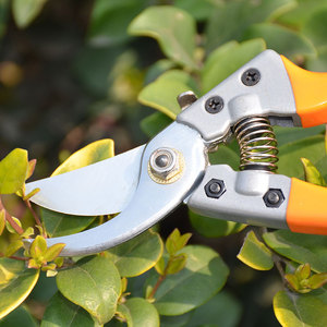 Outils de jardinage multifonctionnels, élagage manuel sans fil, échancrée de graines colorées à grand <span class=keywords><strong>prix</strong></span> - Product Image 5