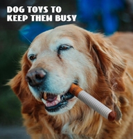 Jouets en peluche écologiques pour chiens, en forme de cigarettes avec boîte, résistants aux morsures, pour la dentition