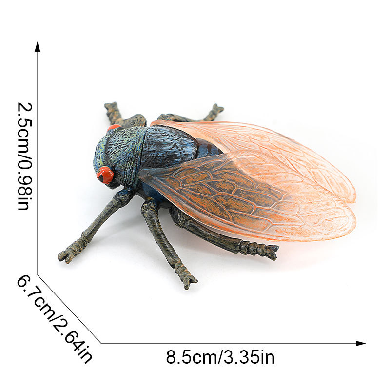 1456-284g ซิกโนว์