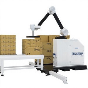 Automatic Cobot Robot Palletizer Arm Gripper Carton Case Palletizer Stacking Robotic Palletizing Machine for 20kg 30KG - Product Image 2