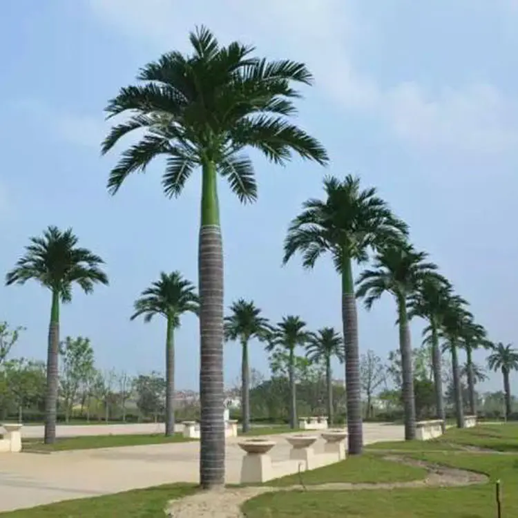 Taman Dalam Ruangan Luar Ruangan Mall Tanaman Pohon Palem Serat Kaca Plastik Ornamen Tropis Besar 2M 3M 4M