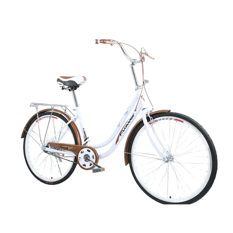 Women's high ten steel bicycle lightweight female students bike portable bike