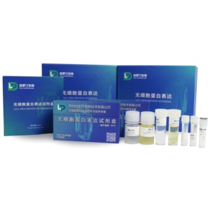 प्रोमो पीएलसी सेल-मुक्त प्रोटीन अभिव्यक्ति किट 1 मिली-80 स्टोरेज - Product Image 3