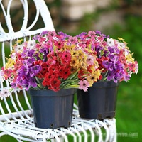 Offre Spéciale : Fleurs Artificielles Violet Violet Profond pour Allée de Mariage, Tiges de Fleurs en Gros, Arrangements Floraux et Décoration Intérieure