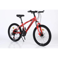 Livraison directe rapide amérique du sud VTT japon importateur de vélos d'occasion vtt électrique 3000w pour adulte