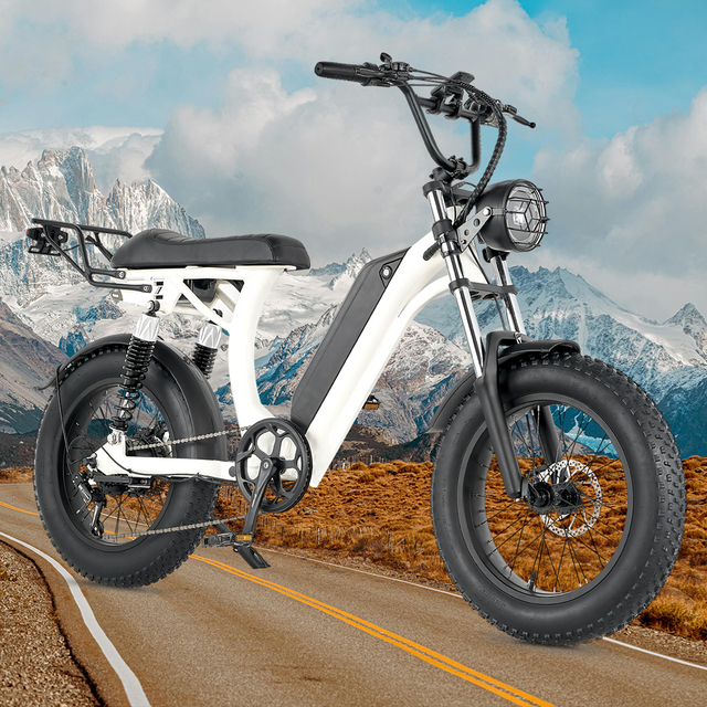 High Quality Wholesale Electric Bikes E Bike Motorcycle Ebike 750W 48V S1 E-Bike
