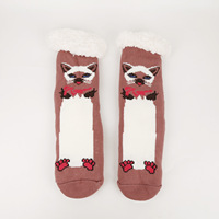Chaussettes de sol transparentes à motif mignon pour femmes, taille unique, avec logo sur le revers, chaudes pour le printemps, antidérapantes, pour intérieur