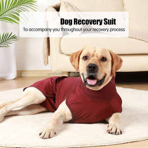 Dog Recovery Suit after Surgery Medical Pet Surgical Recovery Suit Dog <b>Period</b> Panties <b>Diaper</b> Washable Reusable Dog Recovery Suit - Product Image 5