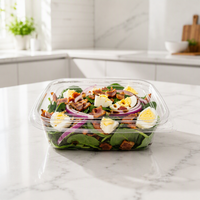 Conteneur alimentaire en plastique PET de qualité alimentaire, emballage recyclable, boîte à salade, boîte à dessert, fabrication directe d'usine