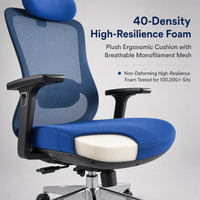Chaise de bureau ergonomique à dossier haut en maille avec appui-tête, accoudoirs 3D, soutien lombaire réglable, chaises de travail pivotantes