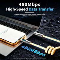 Câble de charge enroulé Type-C PD 100W avec affichage numérique de la puissance, transfert de données 480 Mbps, compatible caméra PVC et iOS, cordon à ressort extensible