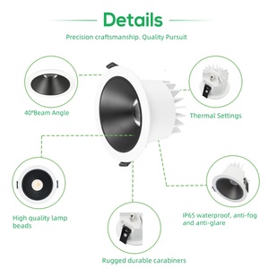 Projecteur <span class=keywords><strong>de</strong></span> <span class=keywords><strong>salle</strong></span> <span class=keywords><strong>de</strong></span> <span class=keywords><strong>bain</strong></span> <span class=keywords><strong>IP67</strong></span> CCT Dali Dimmable 10w 20w 30w 40w 3000k 4000k 5000k capteur noir Diode électroluminescente Downlights <span class=keywords><strong>de</strong></span> plafond - Product Image 5