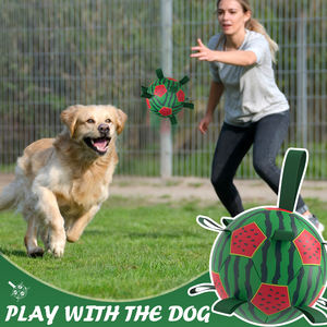 Palla Interattiva per Animali Domestici KINYU in Gomma PU Avvolta, Ecologica, Classica, Giocattolo Solido per Cani, per Giochi all'Aperto, Pallone da Calcio per Alleviare lo Stress - Product Image 3