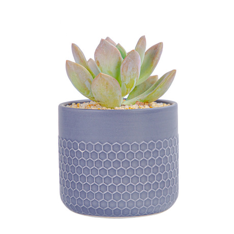 Desk Honeycomb Design Ceramic Flower Pot for Succulent Plants