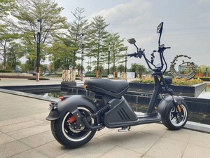 สกู๊ตเตอร์ไฟฟ้าใหม่จากคลังสินค้ายุโรป ได้รับการรับรองมาตรฐาน EEC <span class=keywords><strong>COC</strong></span> กำลังสูง Citycoco 3000W พร้อมจำหน่าย - Product Image 4