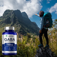 OEM/ODM |   Compléments alimentaires pour le sommeil en marque privée : comprimés/capsules de vitamine B6 + GABA, complément alimentaire GABA