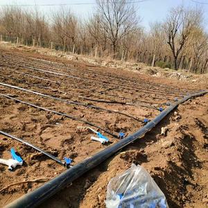 Système d'irrigation goutte à goutte, fournisseur chinois, production de ruban d'irrigation goutte à goutte / systèmes d'irrigation agricole - Product Image 6